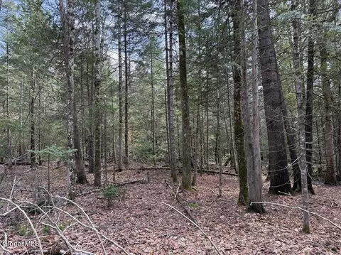 2 Youngs Road # 2, Schroon Lake, NY 12870