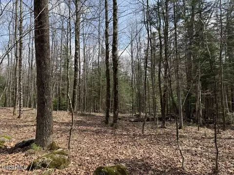 3 Youngs Road # 3, Schroon Lake, NY 12870