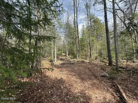 4 Potash Hill Road # 4, Schroon Lake, NY 12870