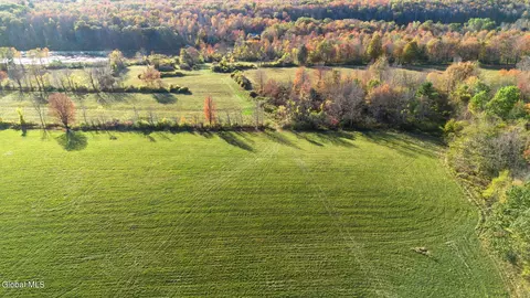 207 Kropp Rd, Westerlo, NY 12193 photo 6