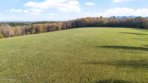 207 Kropp Rd, Westerlo, NY 12193 photo 8
