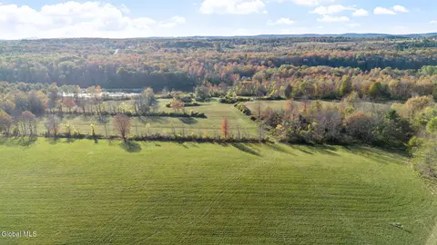 207 Kropp Rd, Westerlo, NY 12193 photo 7