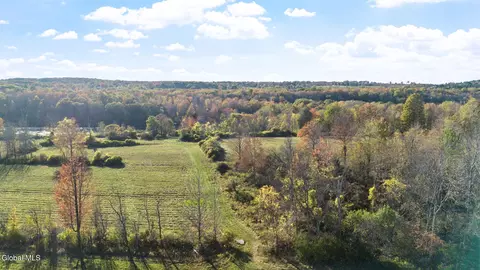 207 Kropp Rd, Westerlo, NY 12193 photo 3