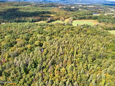 189 Sutton Rd, Cornwallville, NY 12418 photo 15