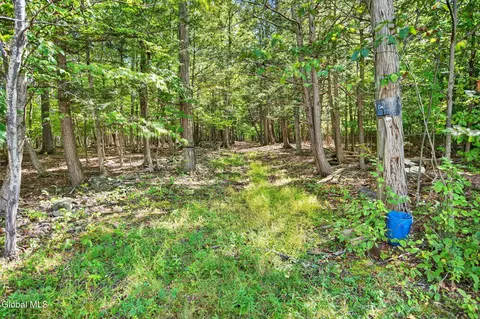 189 Sutton Rd, Cornwallville, NY 12418 photo 7