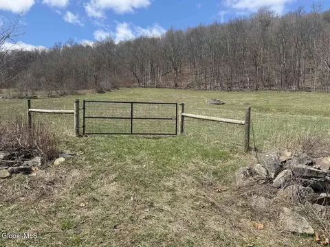 L25 Brand Hollow Road, Durham, NY 12422