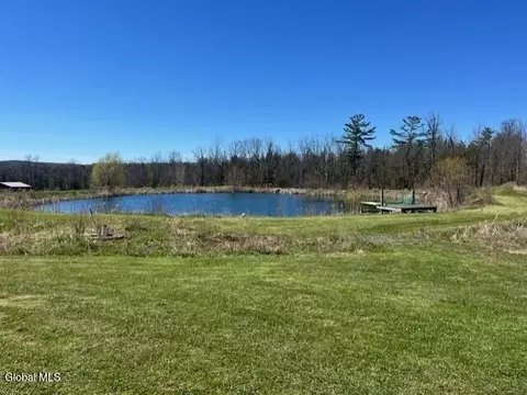 View/Area - 465 Snyder Rd, Cobleskill, NY 12043 photo 3 of 3