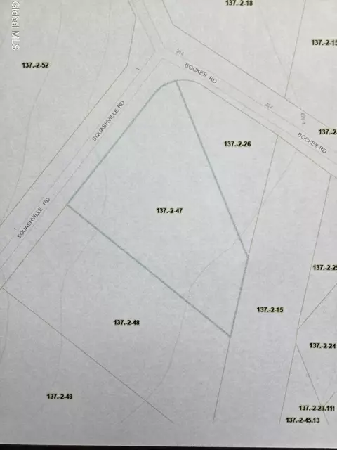 10 Squashville Rd, Greenfield Center, NY 12833