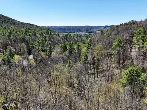 L19 Mary Taylor Road, Middleburgh, NY 12122