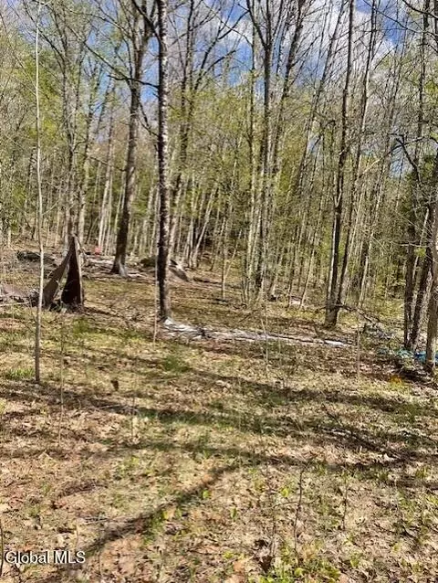 860 Nys Route 30, Northville, NY 12134