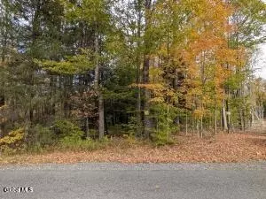 118 Potter Hollow Rd, Providence, NY 12074