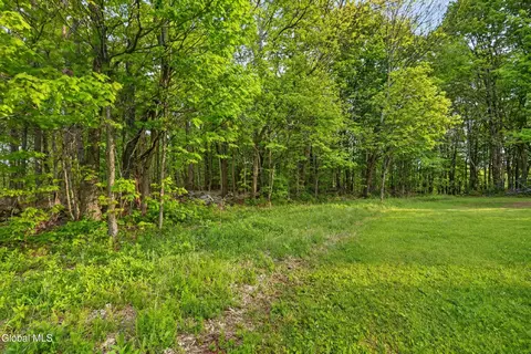 Exterior - 164 Zellner Rd, Summit, NY 12175 photo 21 of 29