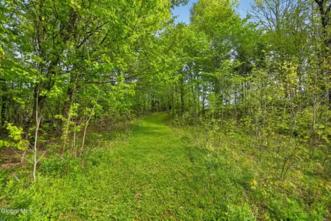 Other - 164 Zellner Rd, Summit, NY 12175 photo 23 of 28