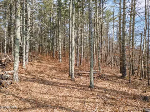 242 Tae Kwon Rd, Blenheim, NY 12131