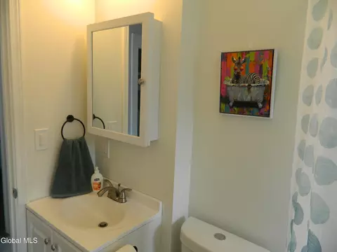 Bath - 1355 Dewitt St, Schenectady, NY 12303 photo 10 of 11