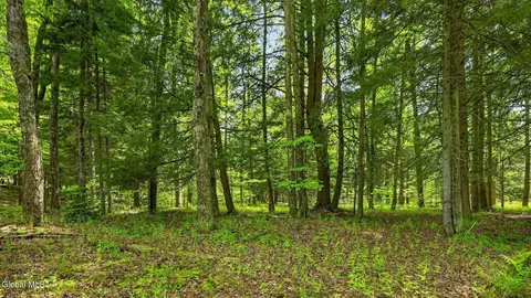 L1.6 Crystal Brook Path, Jefferson, NY 12093
