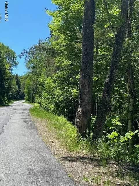 55 Fodder Rd, Stony Creek, NY 12878