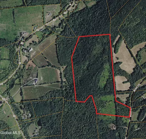 L16 Bush Street, Cobleskill, NY 12043