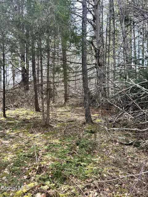 lot6 34 Weaver Dam Rd, Petersburgh, NY 12138