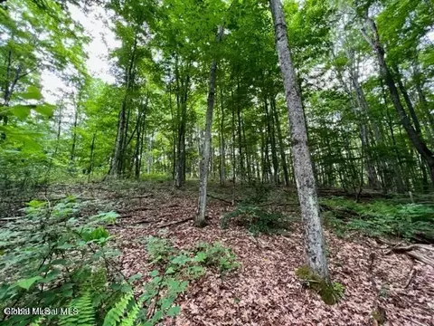 Lot 1 Mcgregor Road #1, Gloversville, NY 12078