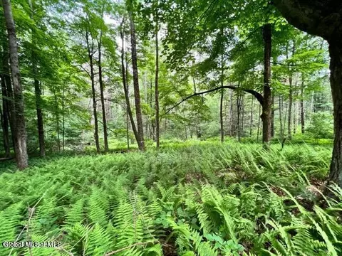 Lot 2 Mcgregor Road #2, Gloversville, NY 12078