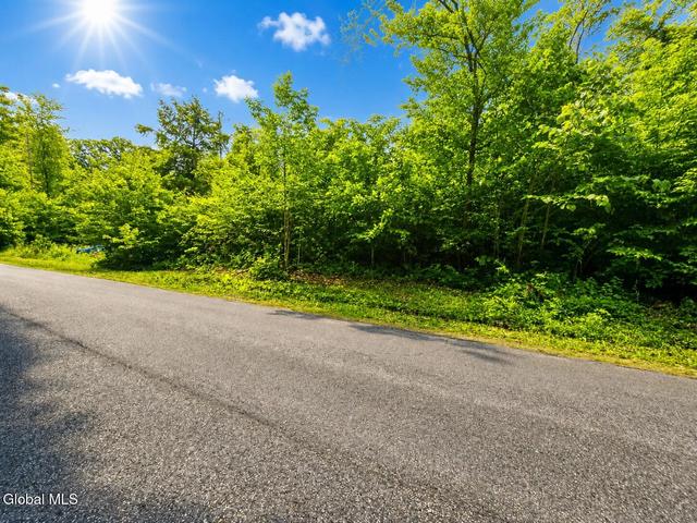 203 Watershed Rd, Johnstown, NY 12095