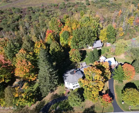 1236 Mcguire School Rd, Delanson, NY 12053
