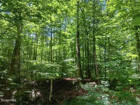357 Norton Rd, Schenevus, NY 12155 photo 2