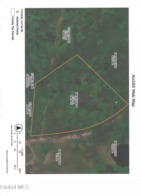 357 Norton Rd, Schenevus, NY 12155 photo 3