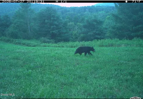 202 Eagle Bridge Rd, Eagle Bridge, NY 12057 photo 7