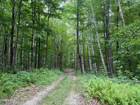 202 Eagle Bridge Rd, Eagle Bridge, NY 12057 photo 32