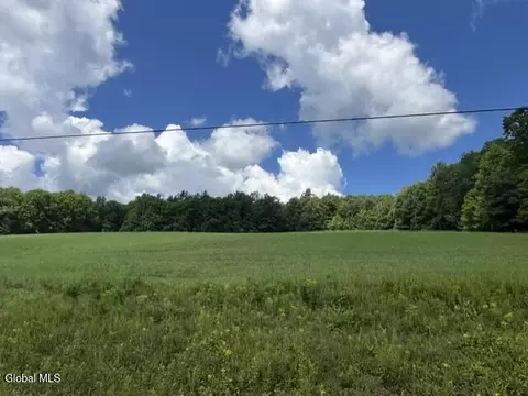 Other - 359 Baldwin Rd, Summit, NY 12175 photo 9 of 15