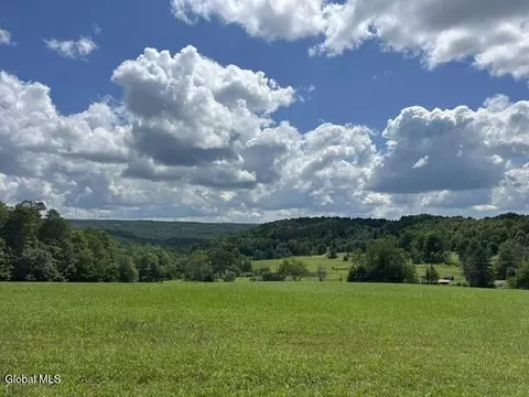 Other - 359 Baldwin Rd, Summit, NY 12175 photo 1 of 15