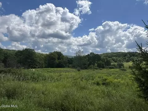 Other - 359 Baldwin Rd, Summit, NY 12175 photo 10 of 15