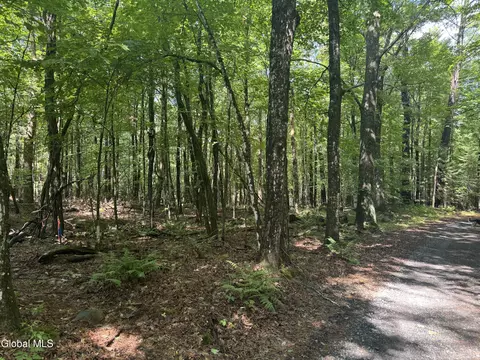 1338 River Rd, North Creek, NY 12853