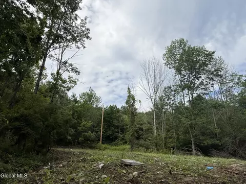 1536 North Rd, North Blenheim, NY 12131