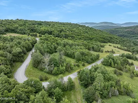 L40 Overlook Drive, Prattsville, NY 12452