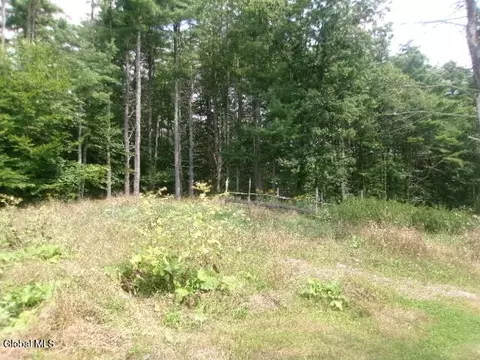 Exterior - 271 Hickey Rd, Hampton, NY 12837 photo 13 of 20