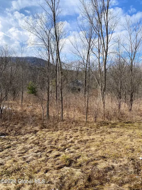 890 Altamont Rd, Altamont, NY 12009