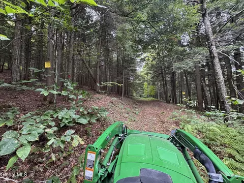 0 Charley Hill Rd #239.90, Schroon Lake, NY 12870