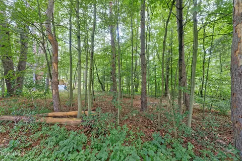 Exterior - 331 Battenkill Evergreens, Salem, NY 12865 photo 5 of 6