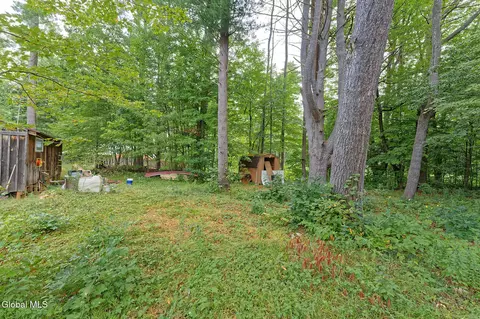 Exterior - 331 Battenkill Evergreens, Salem, NY 12865 photo 4 of 6