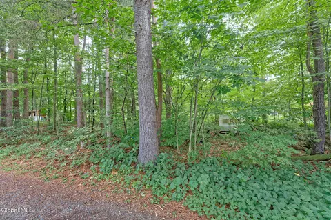 Exterior - 331 Battenkill Evergreens, Salem, NY 12865 photo 6 of 6