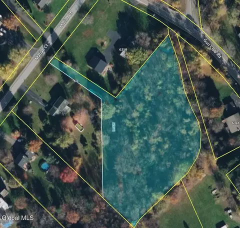 4 Marian Ct, Altamont, NY 12009