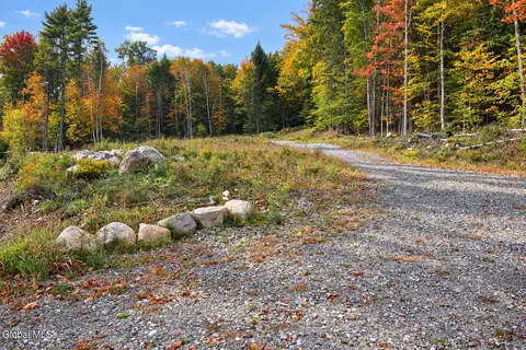 231 Valentine Pond Rd, Pottersville, NY 12860