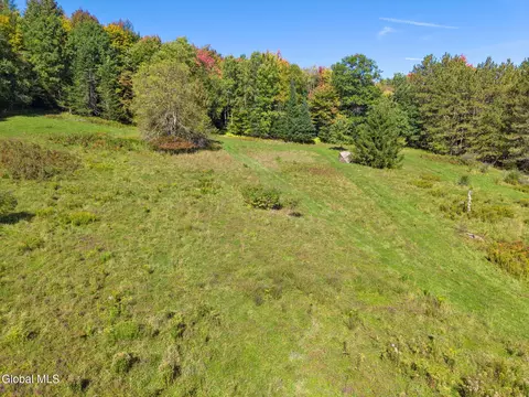 Exterior - 164 Lang Rd, Summit, NY 12175 photo 10 of 11