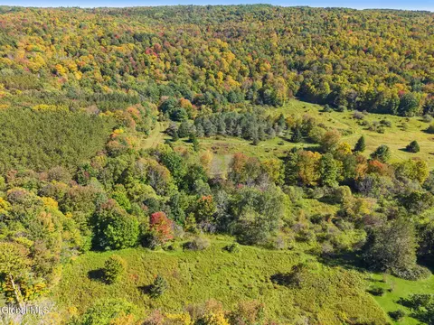 Other - 164 Lang Rd, Summit, NY 12175 photo 20 of 20