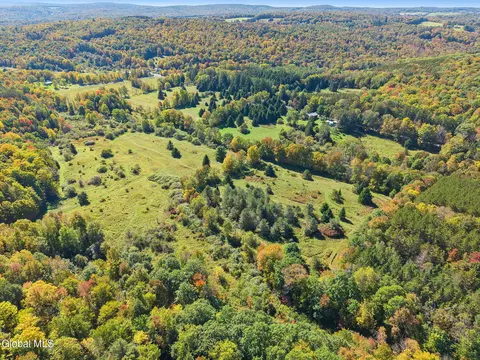 View/Area - 164 Lang Rd, Summit, NY 12175 photo 1 of 3