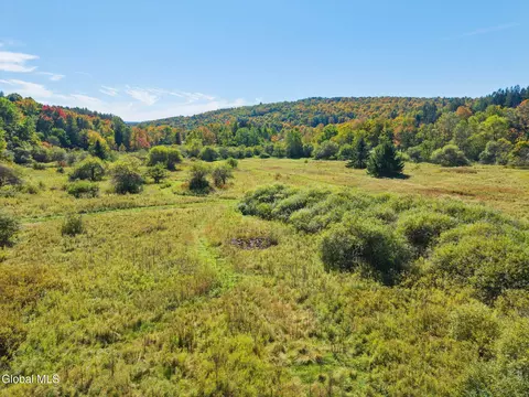 Other - 164 Lang Rd, Summit, NY 12175 photo 16 of 20