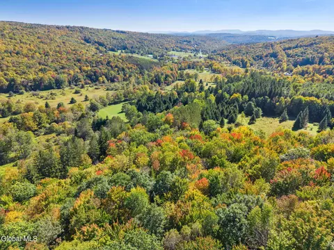 View/Area - 164 Lang Rd, Summit, NY 12175 photo 3 of 3